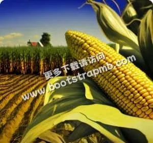 全方位覆蓋世界杯賽事 - 世界杯直播